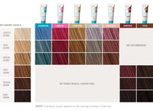 Load image into Gallery viewer, Colour Depositing Mask